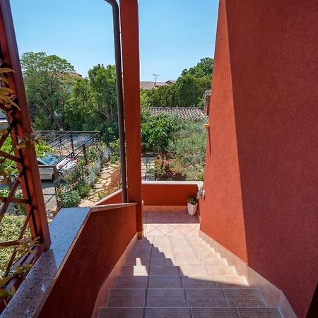 Iva House With Apartment Umag Exterior foto